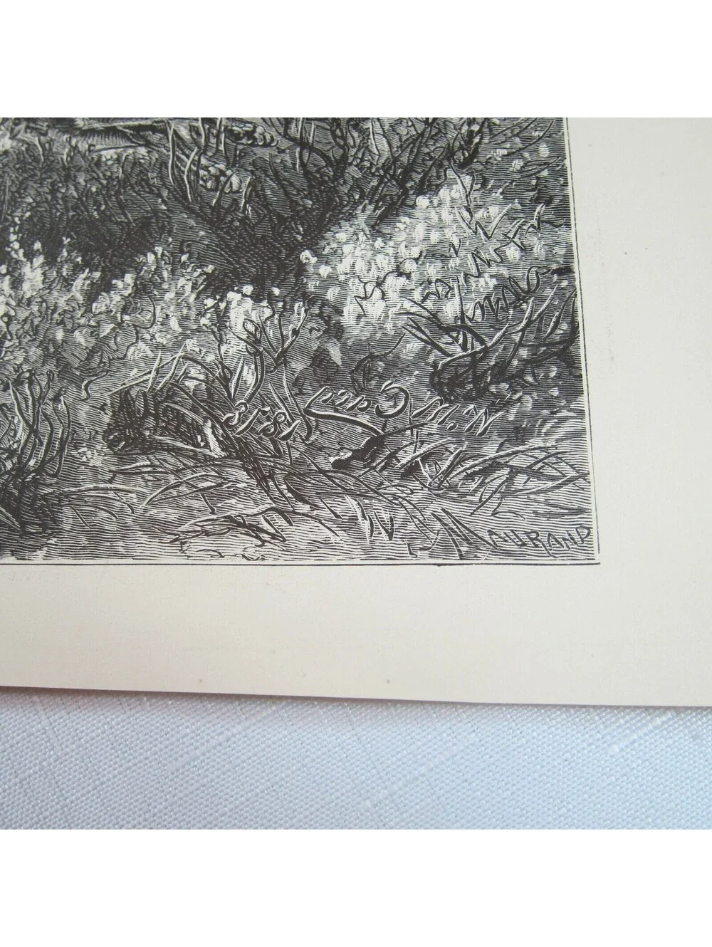 Antique 1874 Engraving Print Antelope-Hunting on the Plains, WM Cary, The Aldine